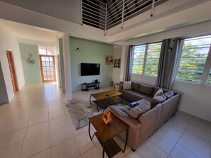 Téléviseur connecté, livres