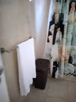 Chuveiro, bidê, toalhas de banho, sabonete