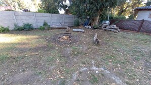 A backyard with a concrete wall, a tree, and some scattered logs. - Cabin in Playa Dorada (Mar chiquita)