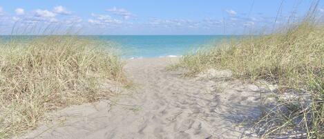 On the beach, beach towels, fishing