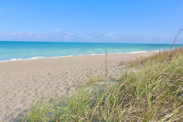 Enjoy a serene beach experience with access to the calm sea and a natural, grassy area.
