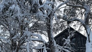 Ein mit Schnee bedecktes Holzhaus mit Fenster und ein schneegebundener Baum im Vordergrund.