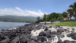 A rocky shoreline with a palm tree and a building in the background. - Bleu Salé, magnificent waterfront villa (L'Étang-Salé)