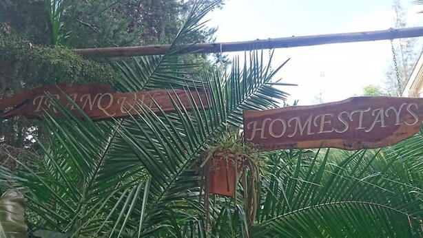 Une enseigne en bois portant l’inscription « TRINQ HOMESTAYS », entourée d’une végétation tropicale.