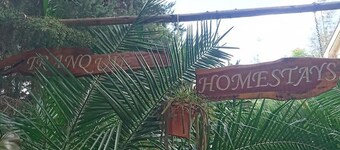 Tranquil Homestay
