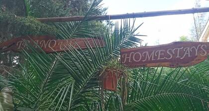 Tranquil Homestay