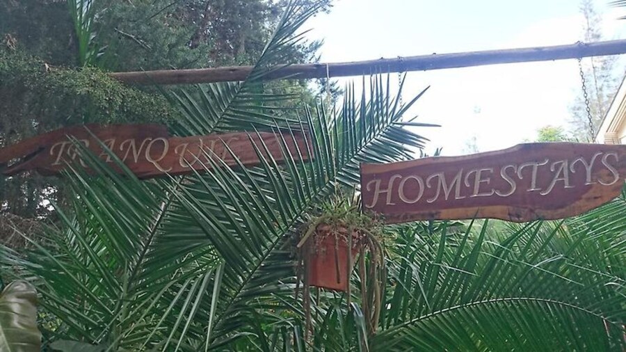 Tranquil Homestay
