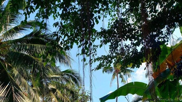 Outdoor pool - Asia Blue - Beach Hostel Hacienda - Single bed in 10-bed Dormitory Room (Ko Pha-ngan)