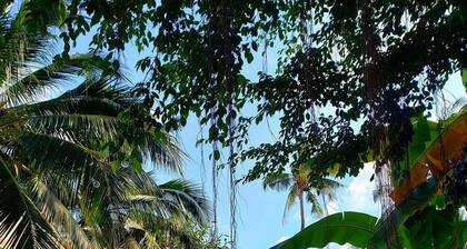 Asia Blue - Beach Hostel Hacienda - Single bed in 10-bed Dormitory Room