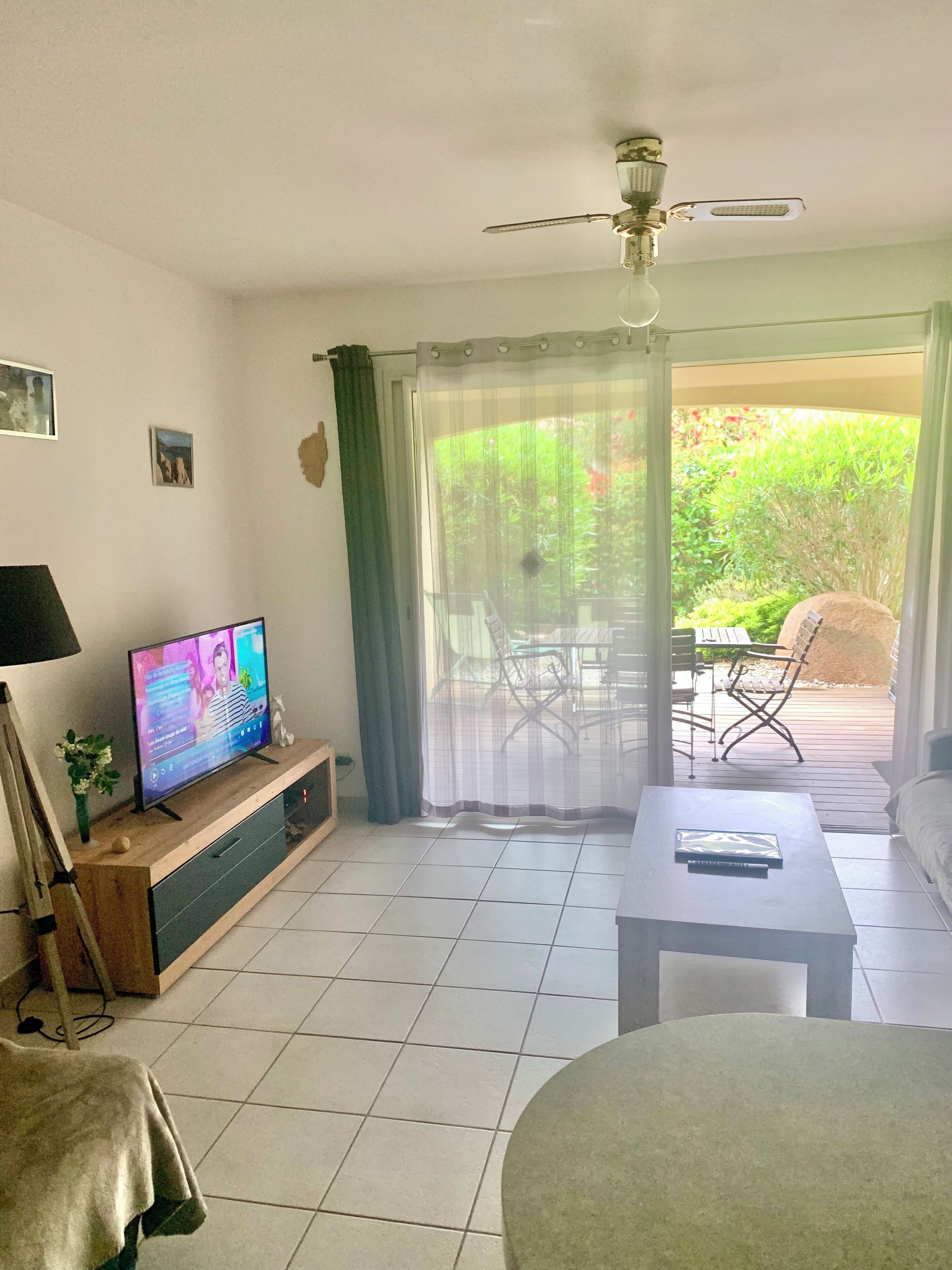 TV