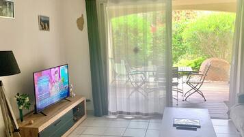 TV
