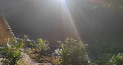 Glamping in Lechuza River
