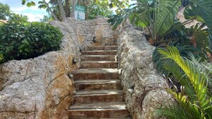 A set of stone steps leading up a rocky path, surrounded by lush greenery. - "las Brisas, Juan Dolio, 3 Bedrooms, 3 Pools, Jacuzzi, Beach, Golf,polo" (Guayacanes)