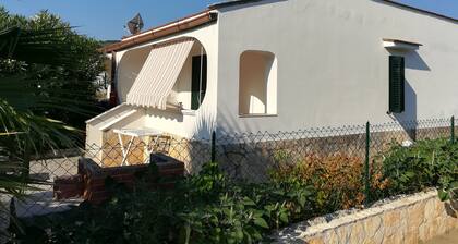 Holidays in Vieste in Charming Villas - 4