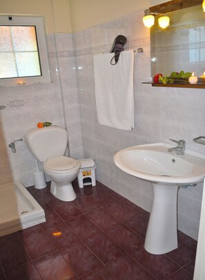 Une salle de bain avec des toilettes, un lavabo et une douche.
