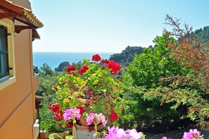 Enjoy the serene view of the lush landscape and the sea from this balcony, featuring a potted plant with vibrant flowers.