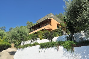 Situated on a hillside, this building offers stunning views of lush greenery and surrounding plants.
