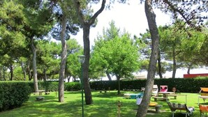 Unclassified image, 3 of 21, button - Fantastic Apartment With big Swimming Pool (Lignano Sabbiadoro)