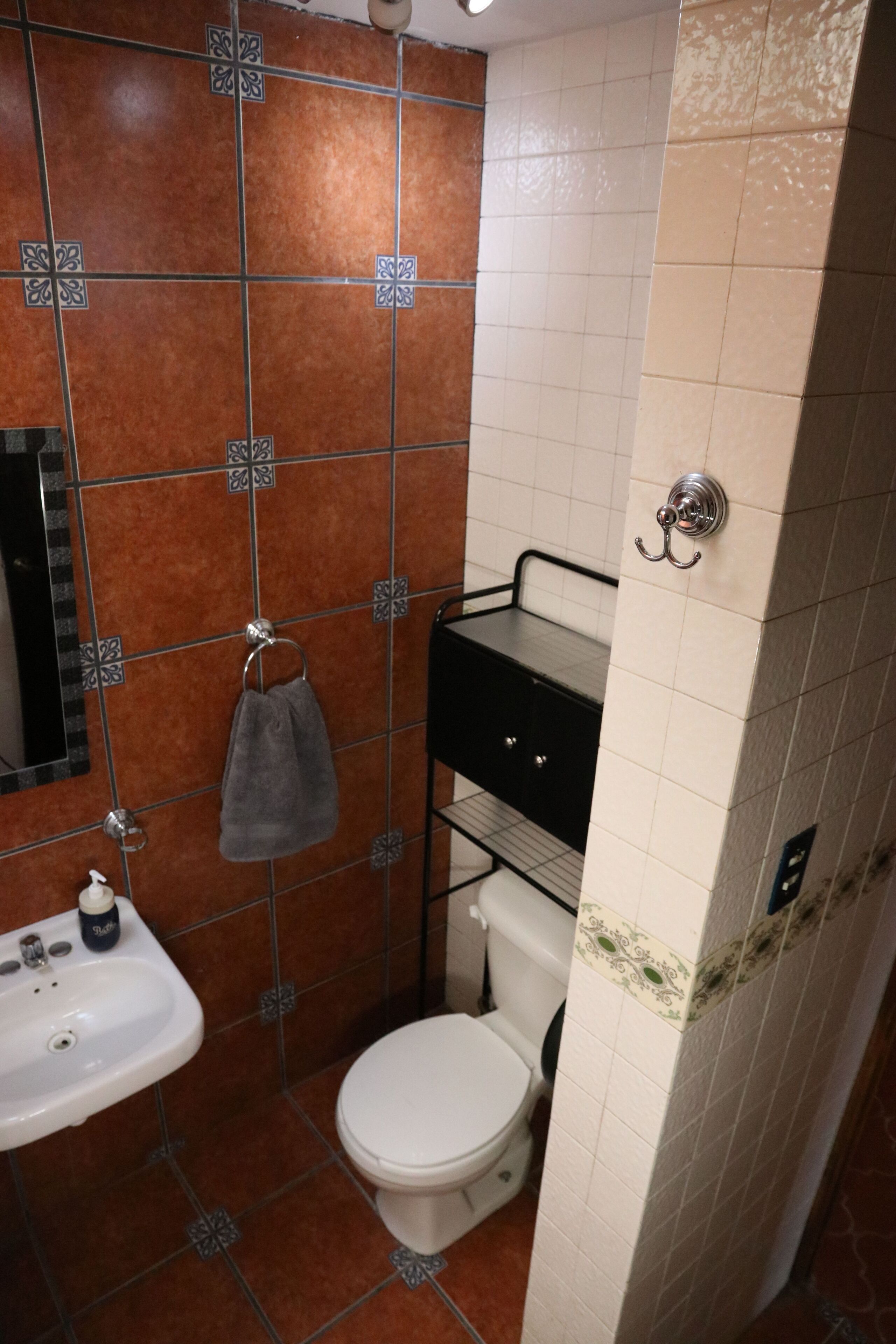 Apartment, 2 Bedrooms, Smoking, City View | Bathroom amenities | Soap, shampoo