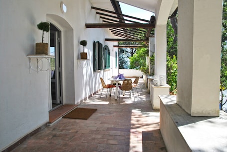Terraza o patio