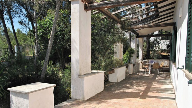 Un espace extérieur abrité, doté d’un sol carrelé, de jardinières en béton et d’une structure en forme de pergola.