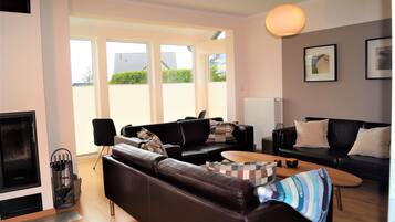 TV connectée, cheminée, livres