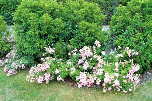 Großzügiges, helles Ferienhaus - Naturstrand, grosser Garten, modern