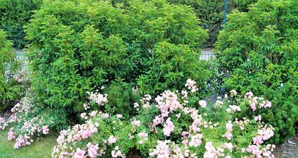 Modern, spacious vacation home - natural beach, space & tranquillity, fireplace