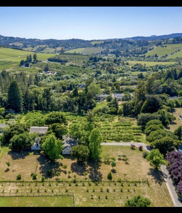 Surrounded by rolling hills and open fields, this traditional estate offers a serene and scenic environment.