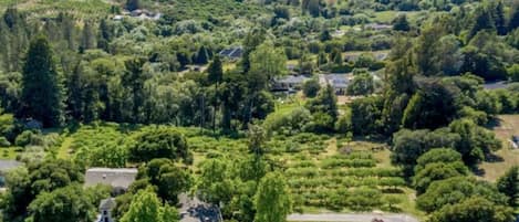 Vue aérienne