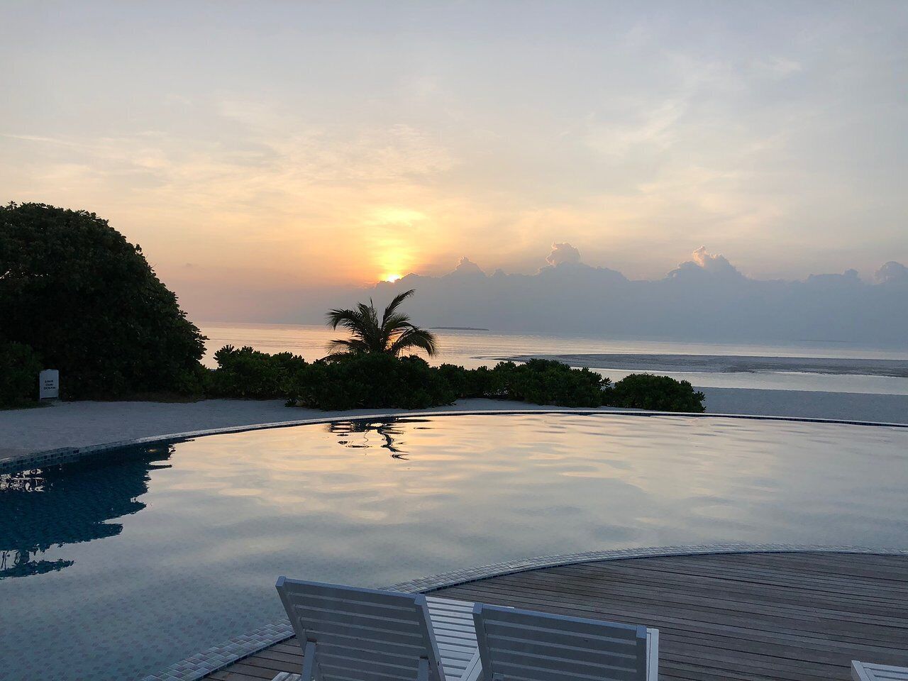 Outdoor pool, pool loungers