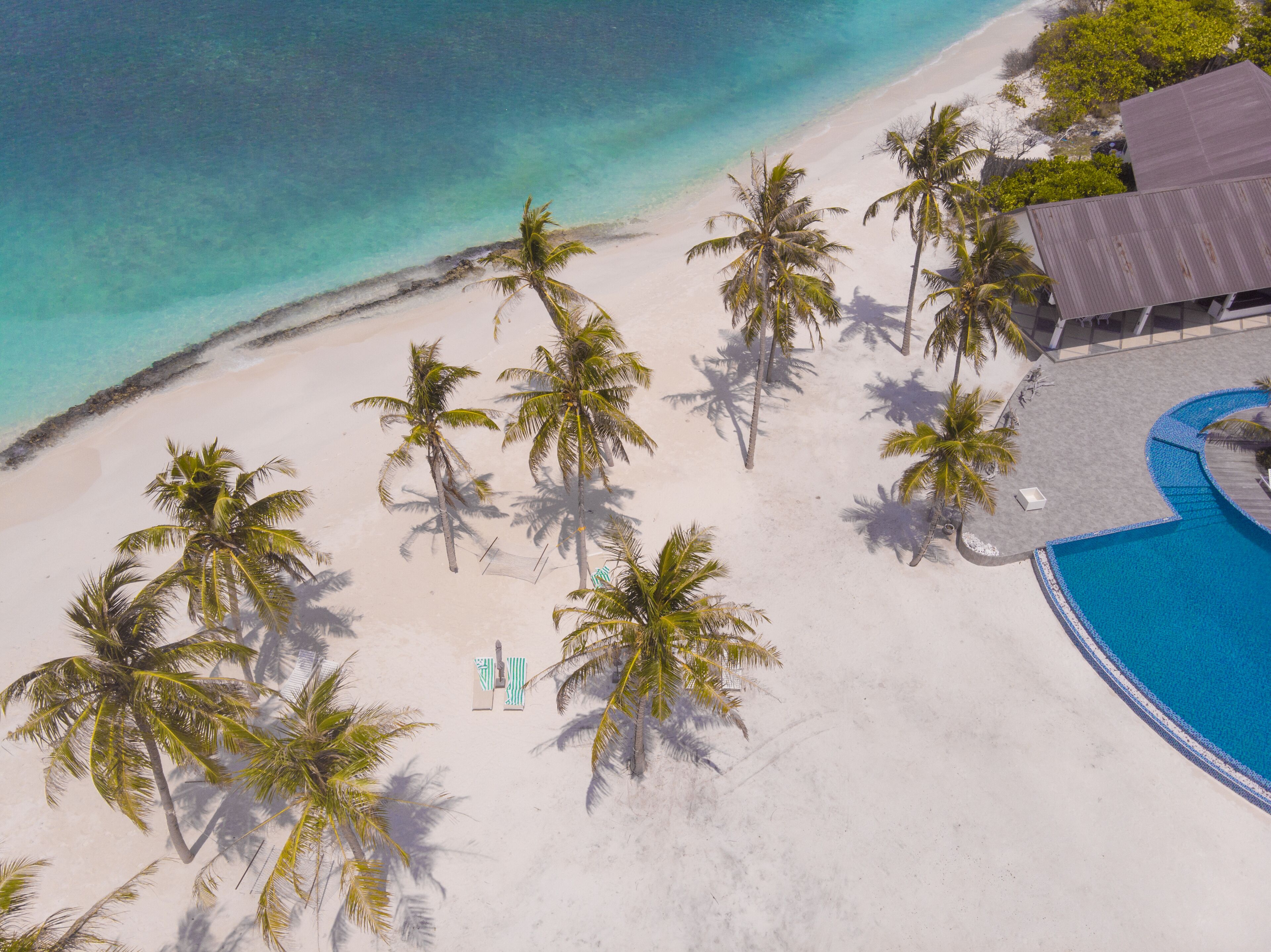 Vista aerea di una spiaggia con palme, una piscina e un edificio con tetto.