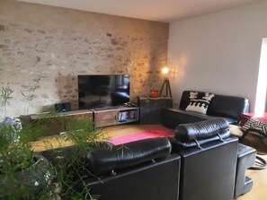 TV, fireplace, ping pong, books