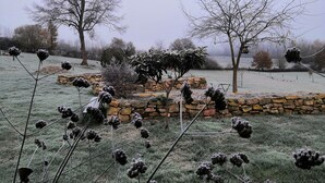 Een tuin met een stenen muur, diverse planten en bomen.