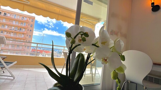 Een balkon met een pot orchidee, een witte stoel en uitzicht op een gebouw met balkons.