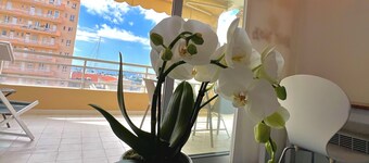 Golfe Juan - 4 People - Sea View - Swimming Pool - Garage