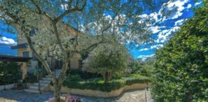 A stone pathway leading to a house with a garden and a tree. - Villa Alexander  (Castelvenere)