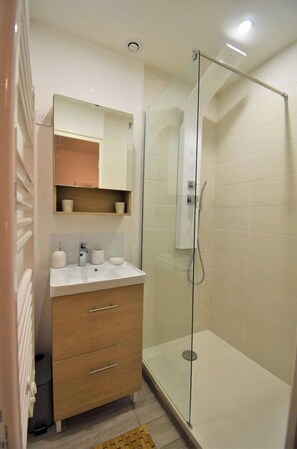 Shower, hair dryer, toilet paper