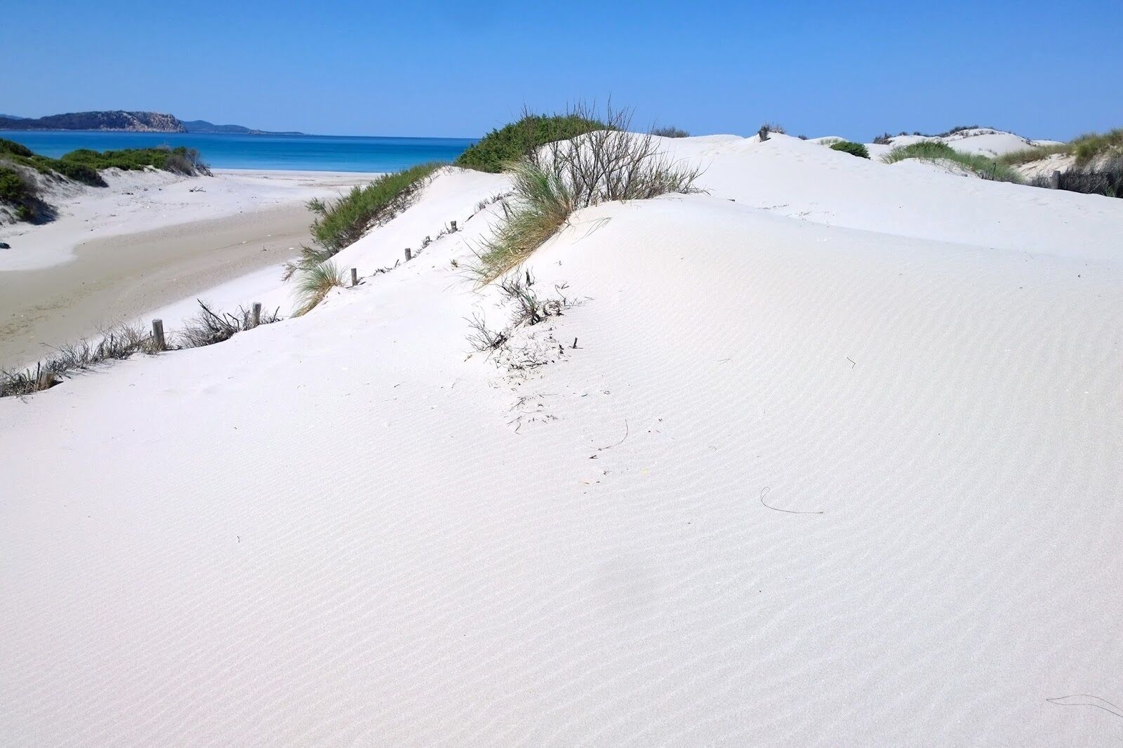 Strand