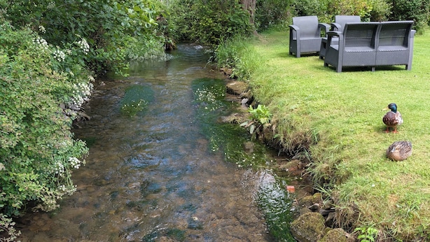 A clear stream with surrounding greenery, outdoor furniture, and ducks.