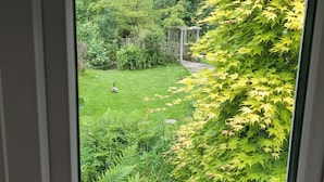 A garden with a pond, greenery, and a wooden structure.