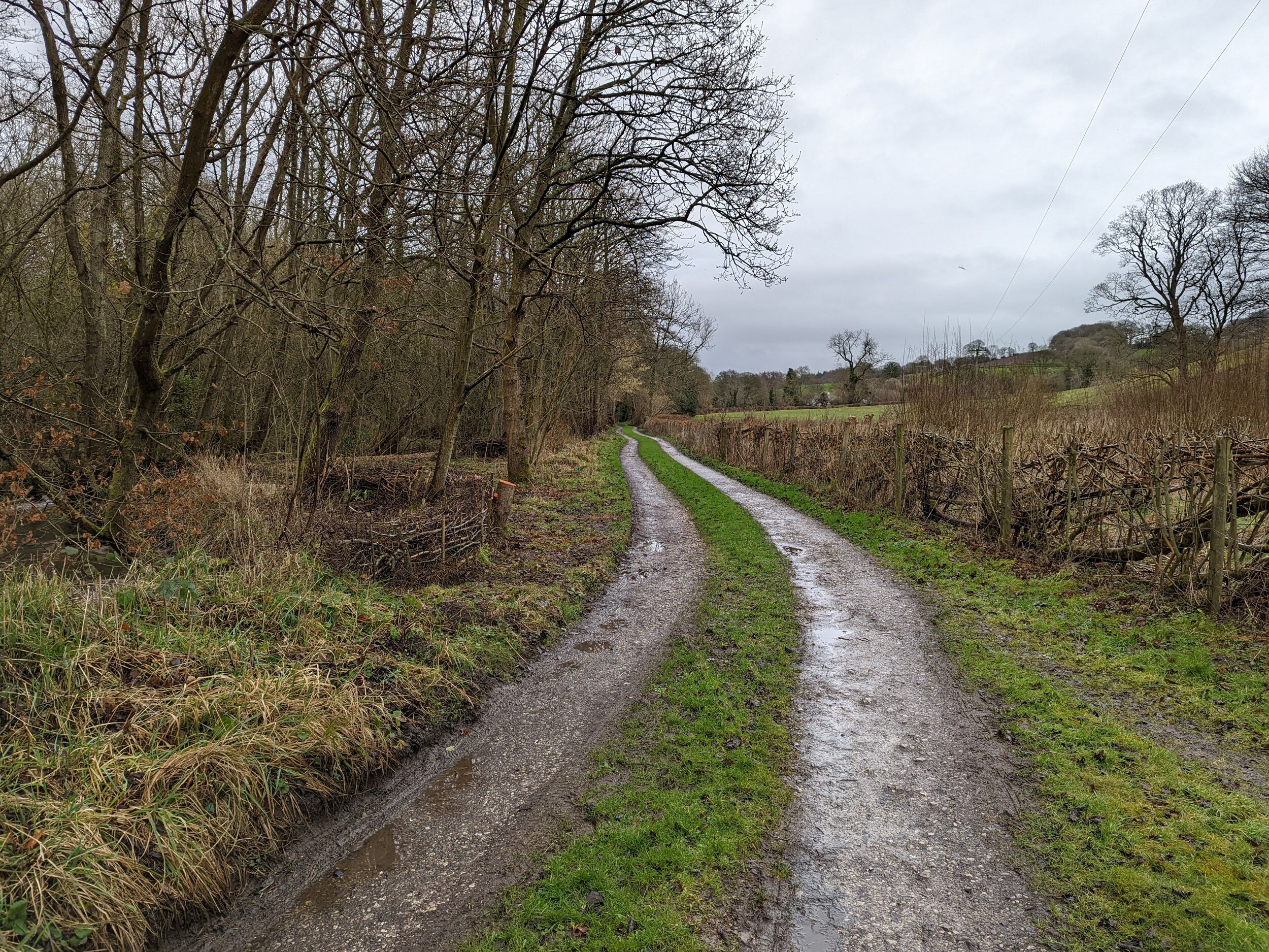 A rural dirt road flanked by trees and fields.