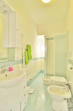 Shower, bidet, towels, soap