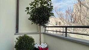 Een balkon met een kleine boom en twee planten in potten, waarvan één rode bloemen heeft en de andere witte.