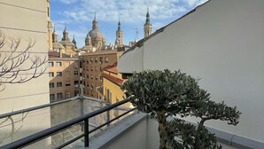 Een balkon met een potplant en kiezelstenen, met uitzicht op een stadsgezicht met historische gebouwen.