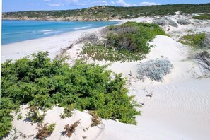 Playa