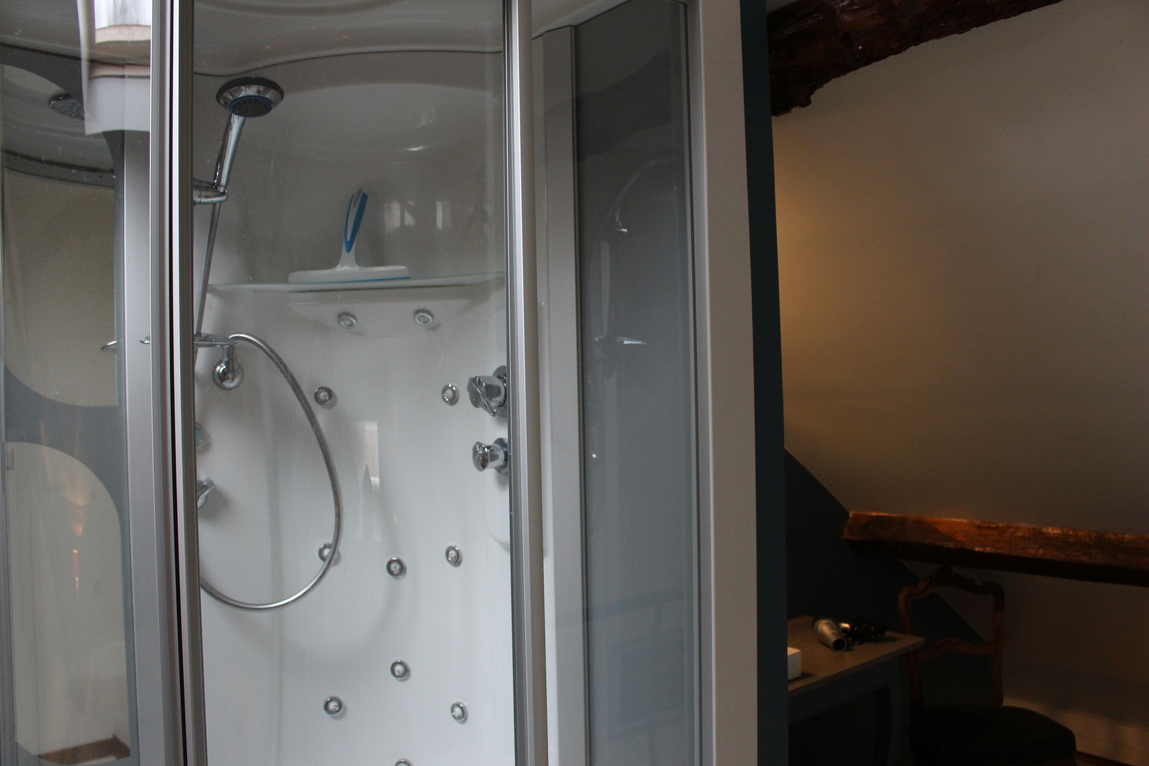 Shower, hair dryer, toilet paper