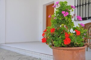 Triple Room, 3 Single Beds, Terrace | Terrace/patio