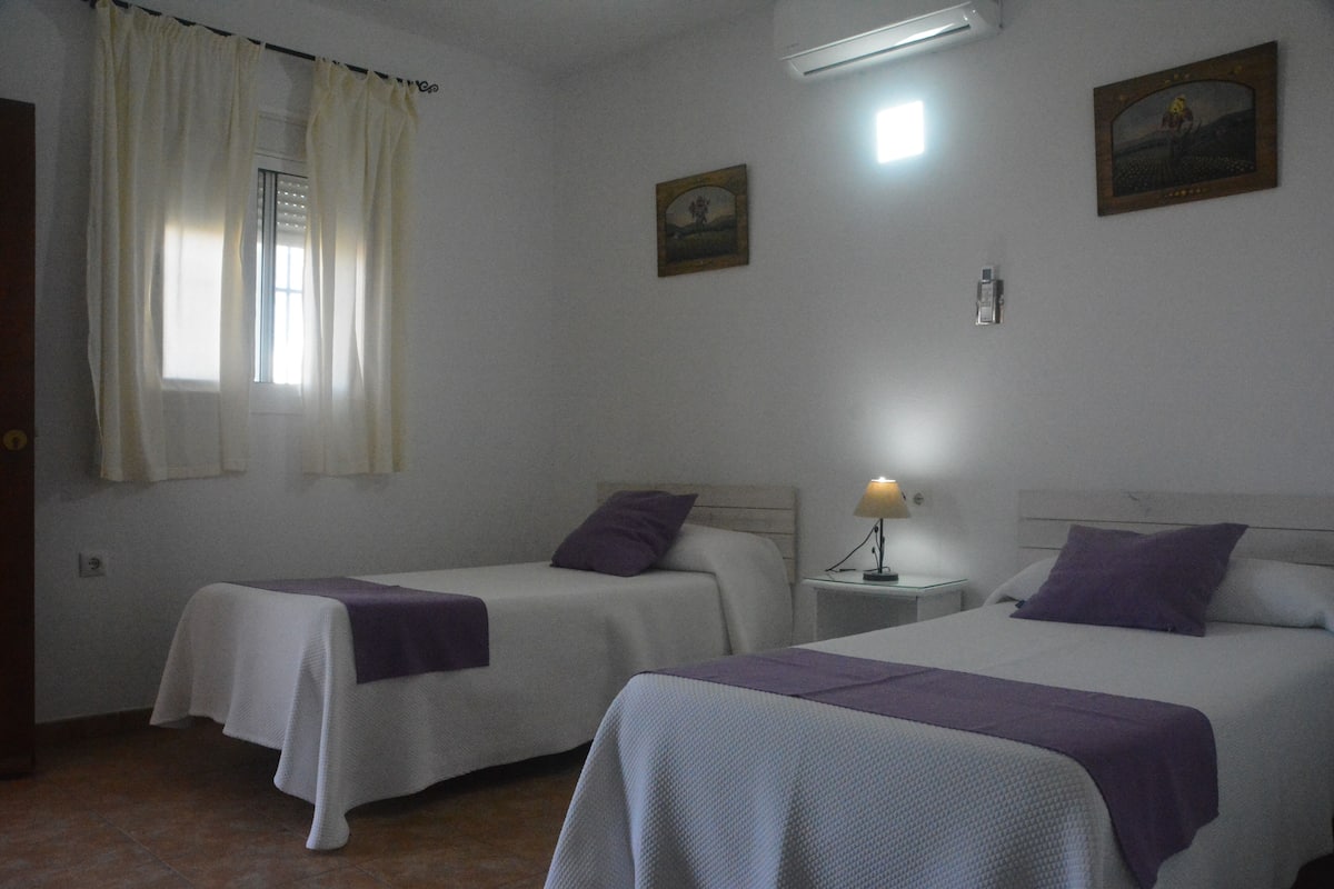 Economy Twin Room, Private Bathroom | Minibar, WiFi (free), bed sheets