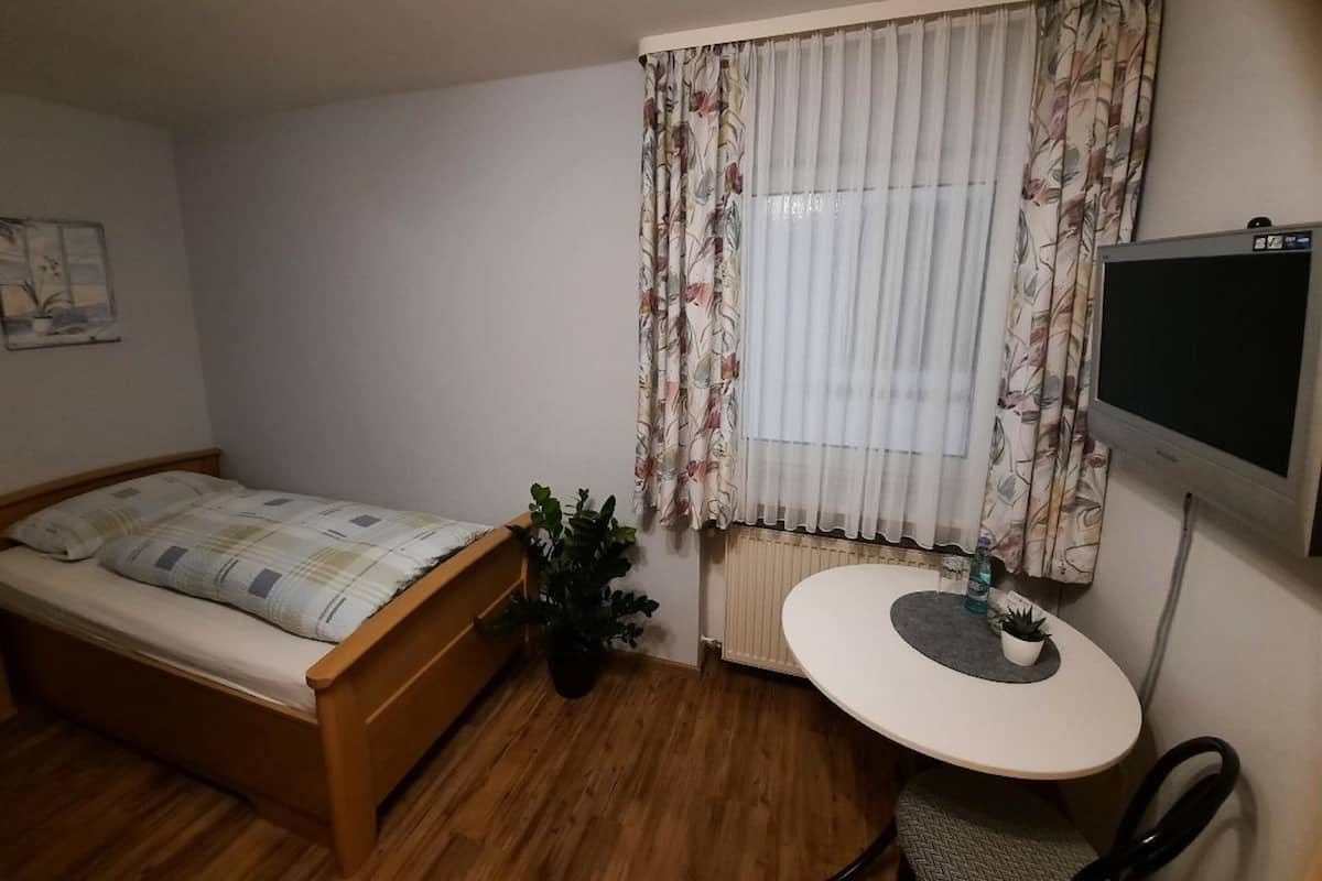 A small room with a bed, a desk, a chair, a potted plant, and a TV.